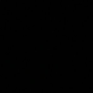 Meet your Posher, Angelina